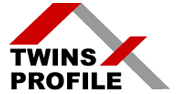 Twins Profile logo