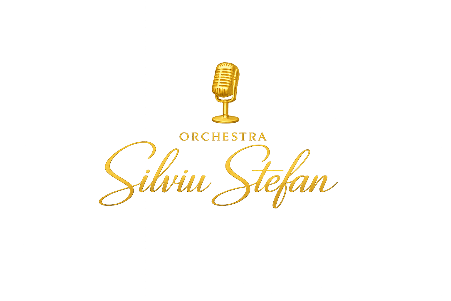 Orchestra Silviu Stefan logo